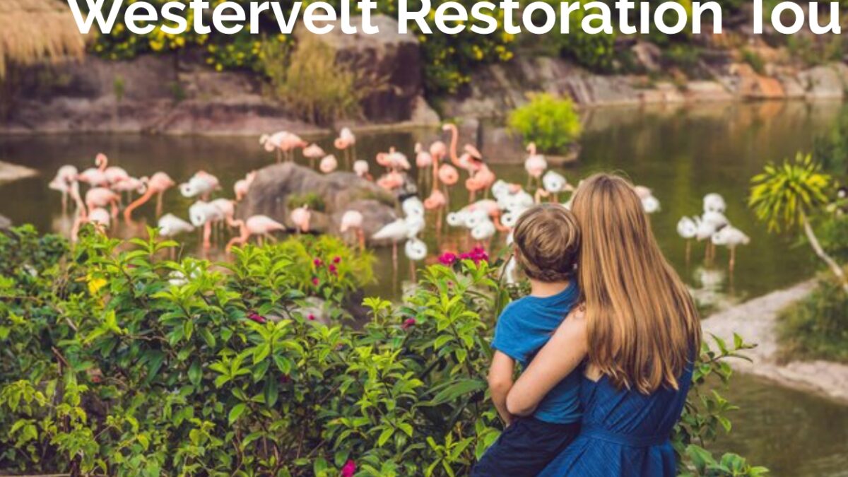 Westervelt Restoration Tou