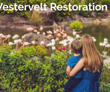 Westervelt Restoration Tou