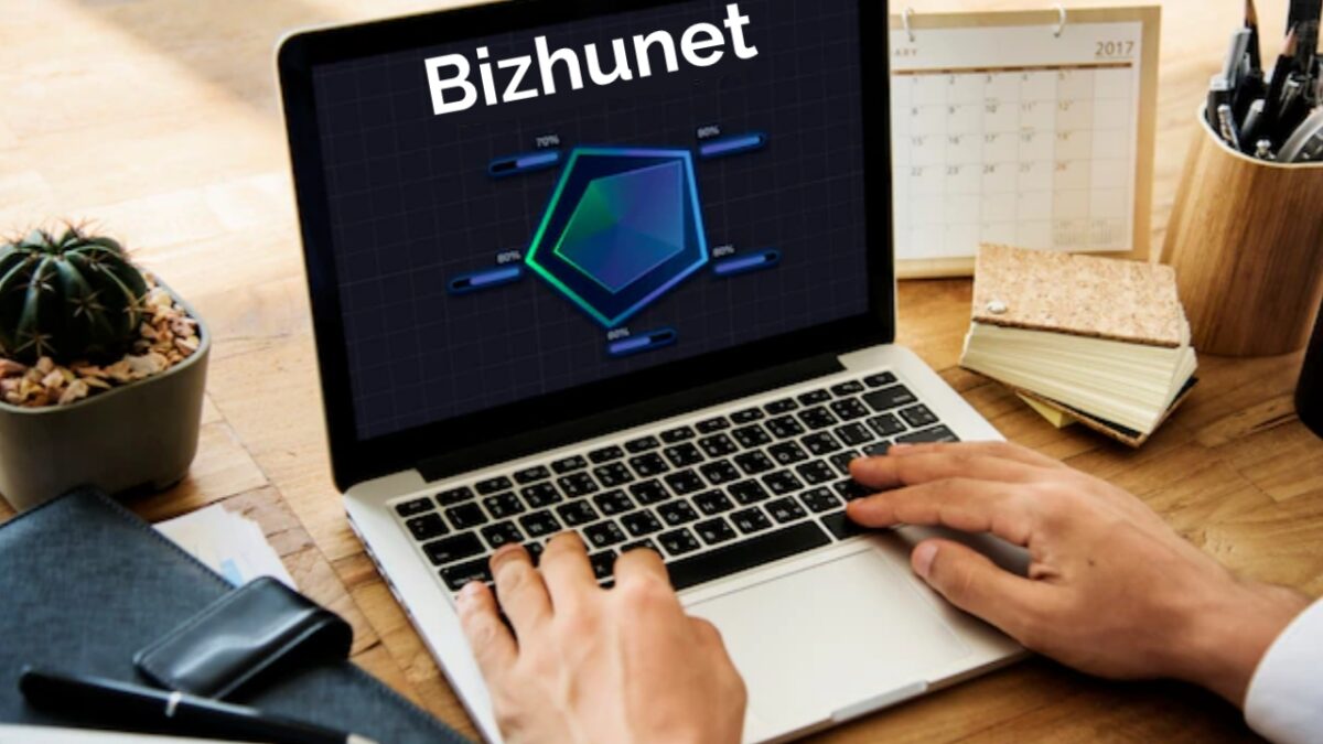 bizhunet