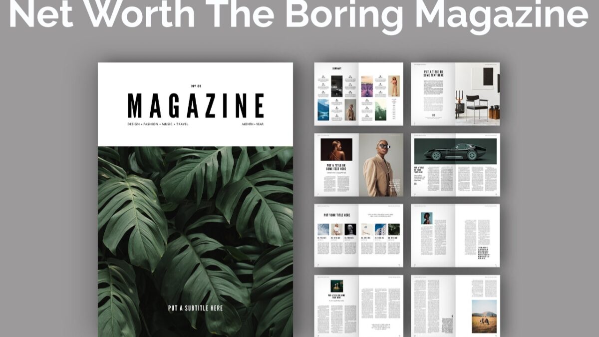 Net Worth The Boring Magazine