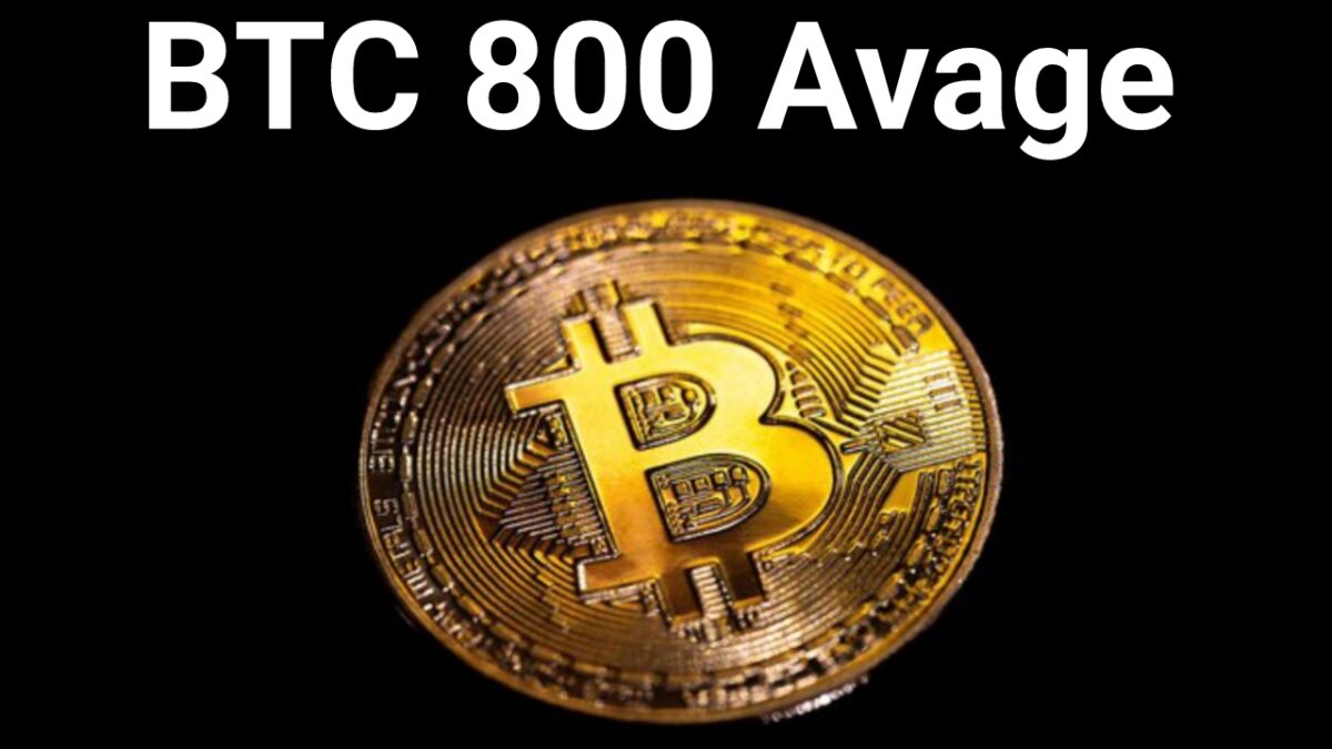 BTC 800 Avage