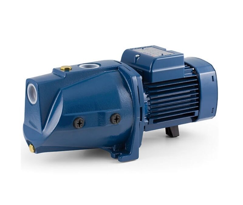 pedrollo jswm 10m pump maintenance